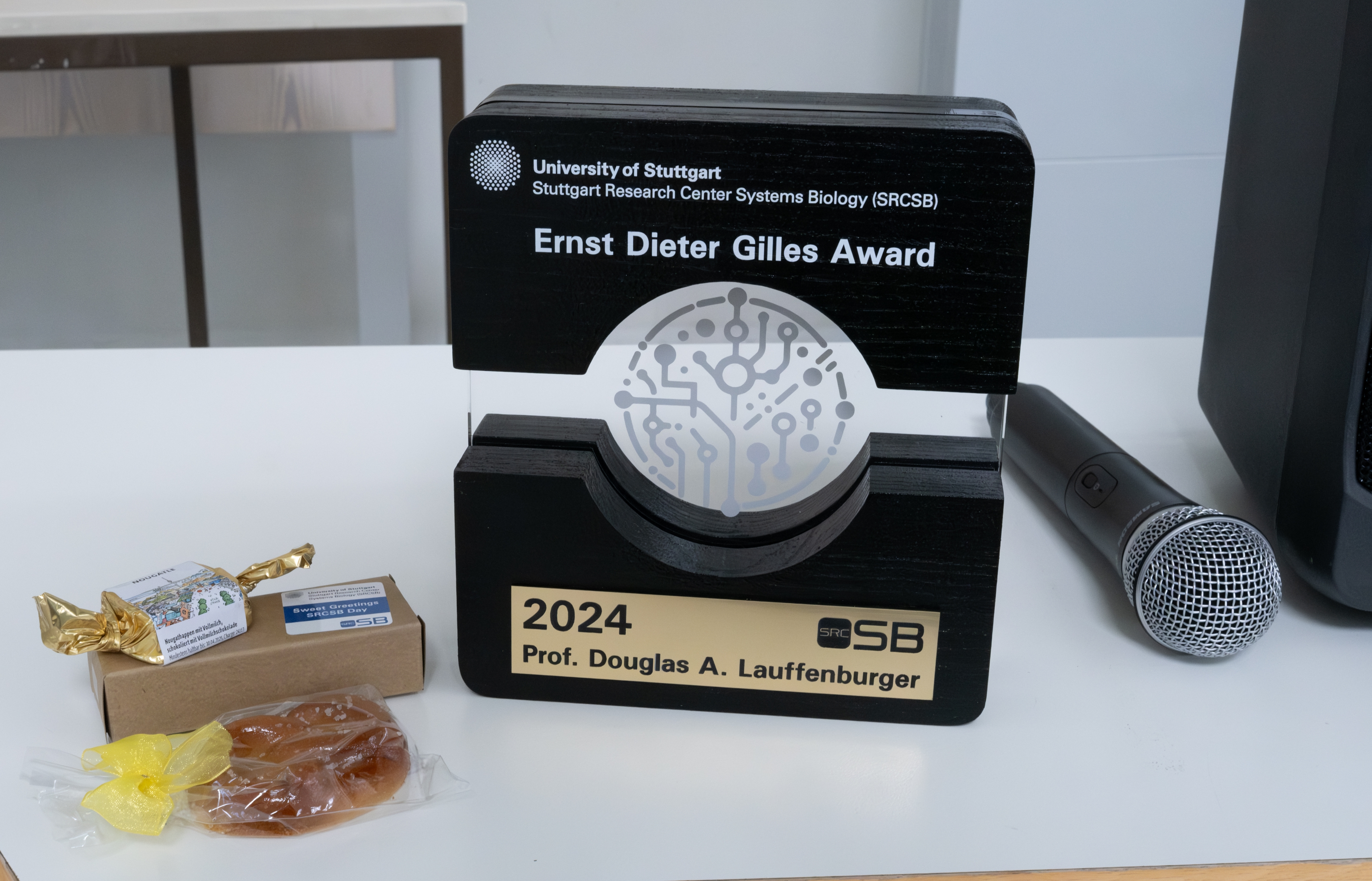 Ernst Dieter Gilles Award 2024